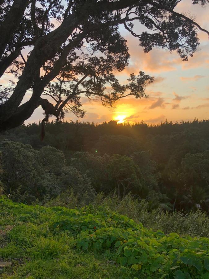 Muriwai Lodge Bagian luar foto